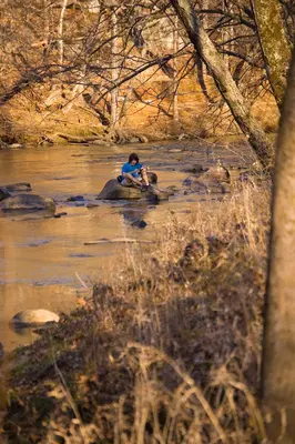 Solitude on the Eno River - panoramio