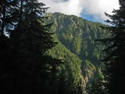 Cougar Rock Group Campground