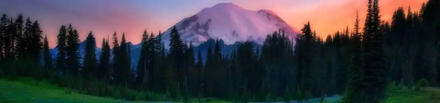 Mt Rainier