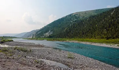 Firth River looking upstream from the Muskeg Creek confluence