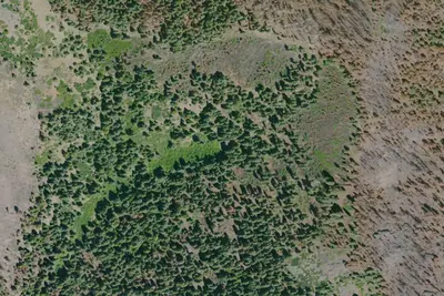 Cold Spring Campsite