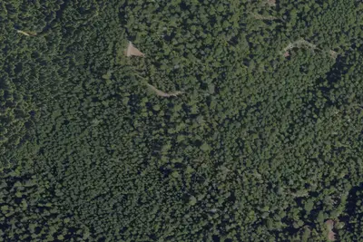 Camp site
