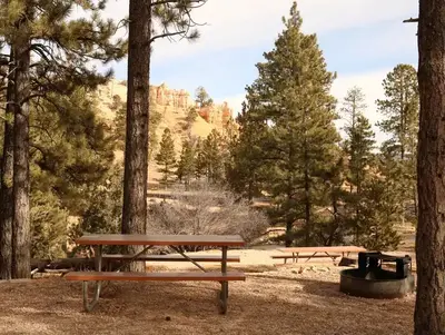 North campground