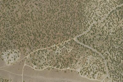 Camp site