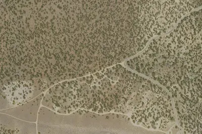 Camp site