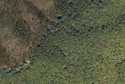 Camp site