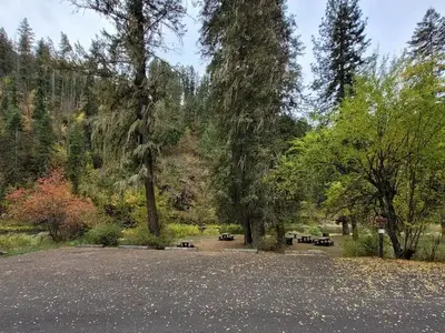 South Fork Site #5
