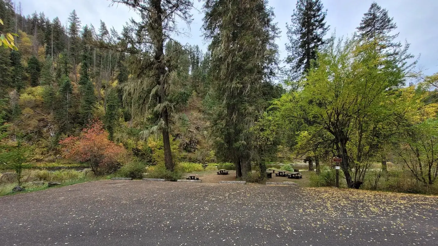 South Fork Site #5
