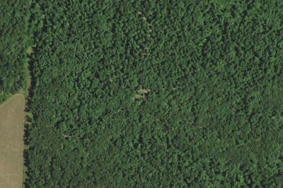 Camp site