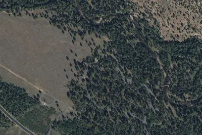 Site 11