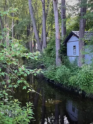 Bronte Creek Freelton