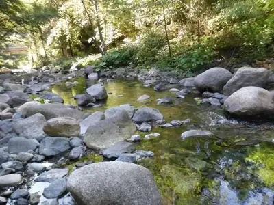 Fiddle Creek
