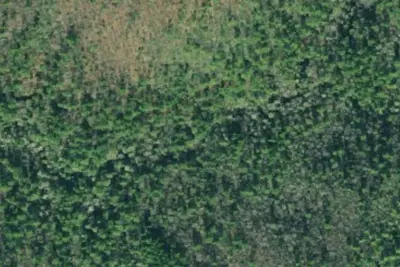 Camp site