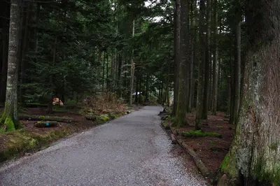 Trailhead , Chief - panoramio