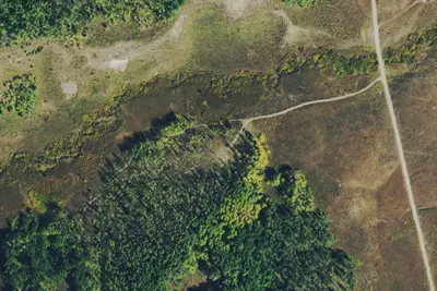 Camp site