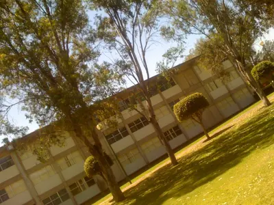 Cucea 020