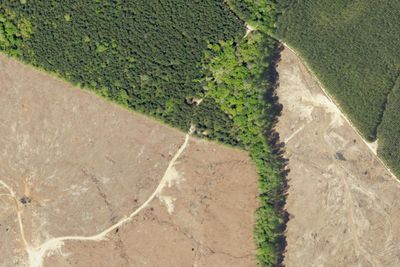 Camp site