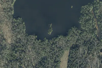 Camp site