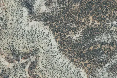 Camp site