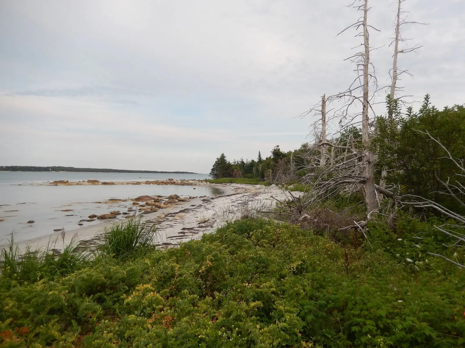 Photo of Thomas Raddall Provincial Park