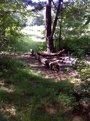 FLT M09 2.6 mi - Bivouac area at east side of pond dam - panoramio