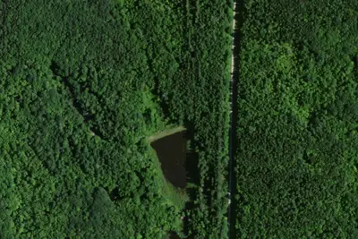 Camp site