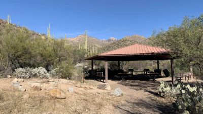 Sabino Canyon Recreation Area Cactus Ramada 1