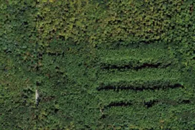 Camp site
