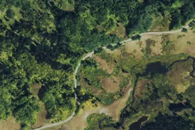 Camp site