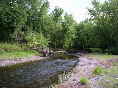Sunrise River