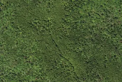 Camp site