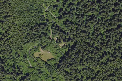 Alsea Group Campground