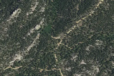 Harris Park Camp 2