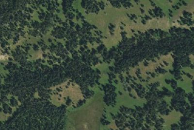 Fawn Lake