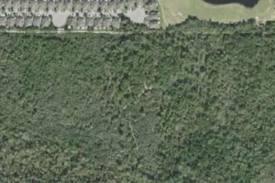 Primative Camp Site