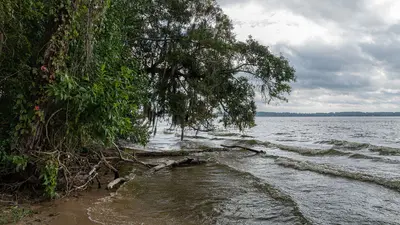 USA - Texas - Sam Houston National Forest - Lake Conroe - 51632750900