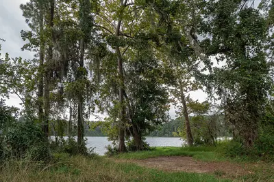 USA - Texas - Sam Houston National Forest - Lake Conroe - 51631898386
