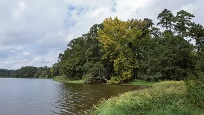 USA - Texas - Sam Houston National Forest - Lake Conroe - 51632123698