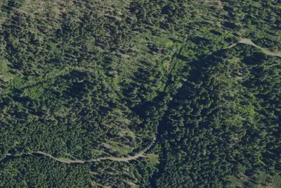 Boze Shelter Forest Camp