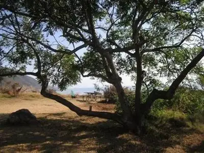 Kirk creek campground----