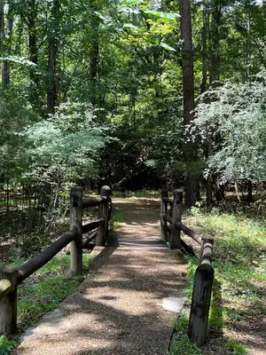 Mississippi - Mississippi Petrified Forest - 20220718135550