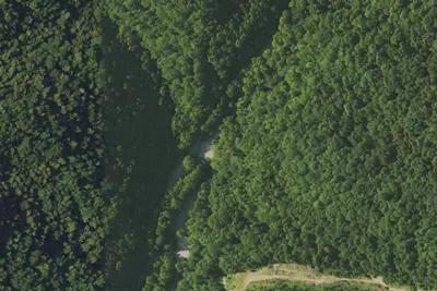 Sycamore Campground