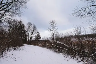 Snowy Hiking Trail at William O'Brien State Park, Minnesota (39186285521)