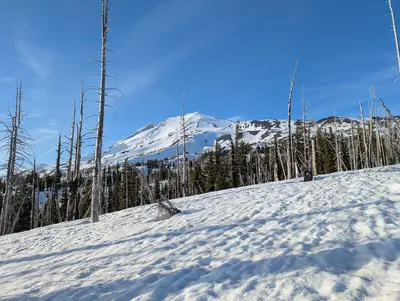 Mount Adams Morrison Creek ski tour (5 May 2025) (78911)