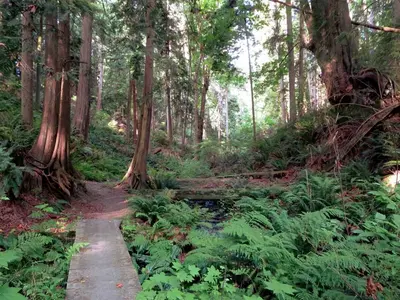 Nature Trail (9362857026)
