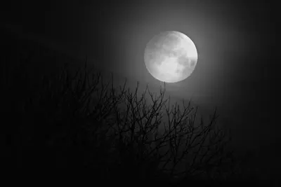 Blue Moon Set (39130605035)