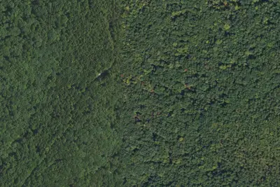 Camp site