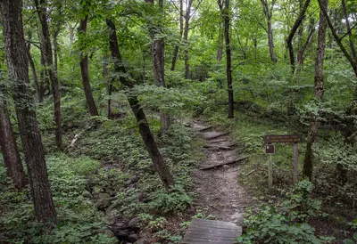 Fort Ridgely State Park - Trails - Minnesota (27753345813)