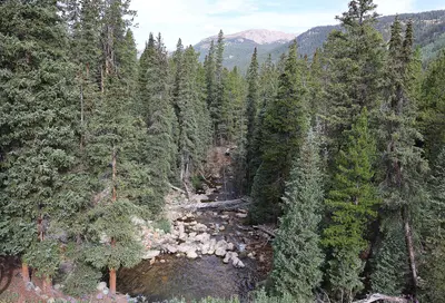 Roaring Fork River below the diversion dam
