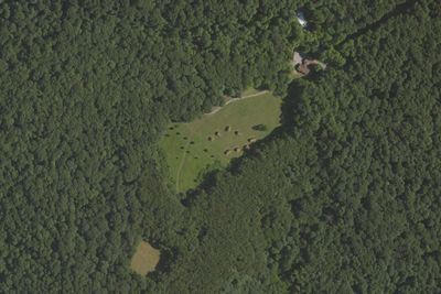 Group Camp